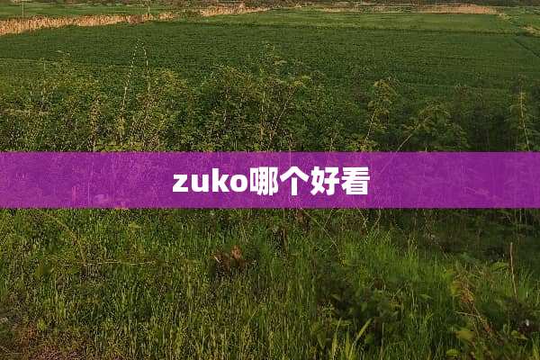 zuko哪个好看