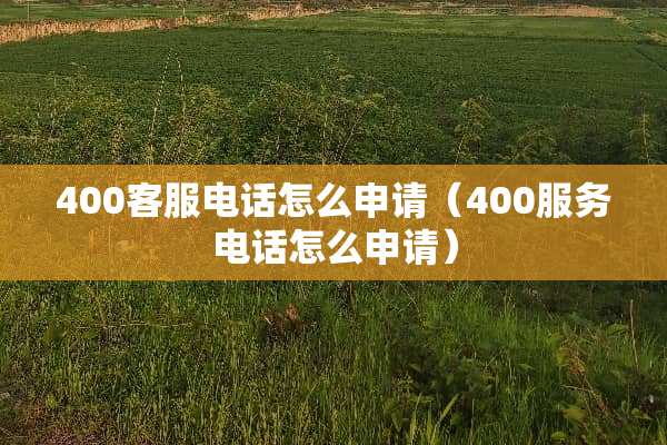 400客服电话怎么申请（400服务电话怎么申请）