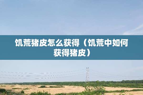 饥荒猪皮怎么获得（饥荒中如何获得猪皮）