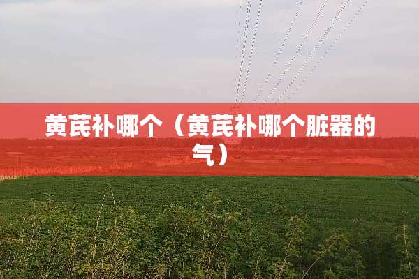 黄芪补哪个（黄芪补哪个脏器的气）