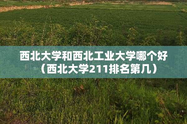 西北大学和西北工业大学哪个好（西北大学211排名第几）