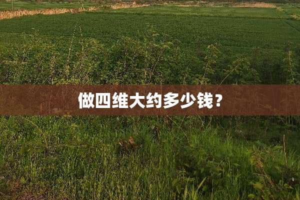 做四维大约多少钱？