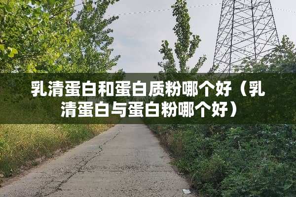 *清蛋白和蛋白质粉哪个好（*清蛋白与蛋**哪个好）