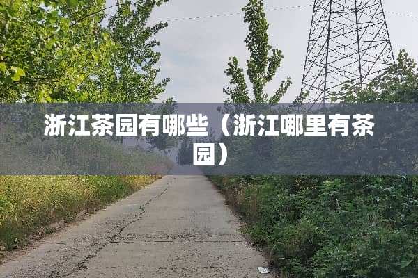 浙江茶园有哪些（浙江哪里有茶园）