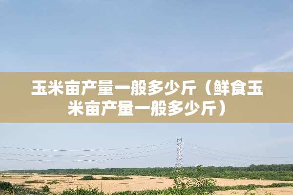 玉米亩产量一般多少斤（鲜食玉米亩产量一般多少斤）