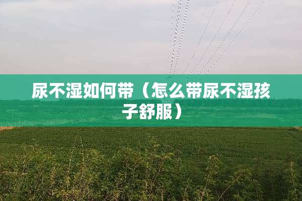 尿不湿如何带（怎么带尿不湿孩子舒服）