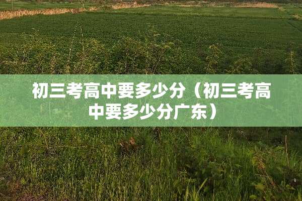 初三考高中要多少分（初三考高中要多少分广东）