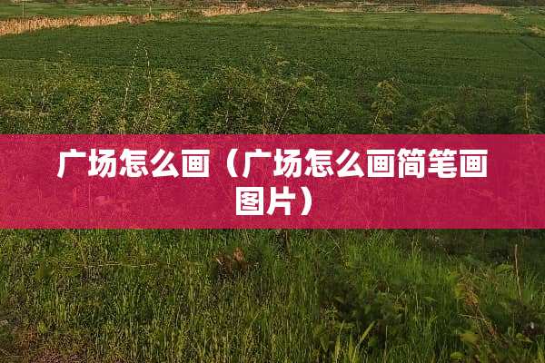 广场怎么画（广场怎么画简笔画图片）
