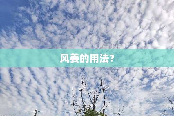 风姜的用法？