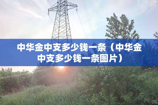 中华金中支多少钱一条（中华金中支多少钱一条图片）