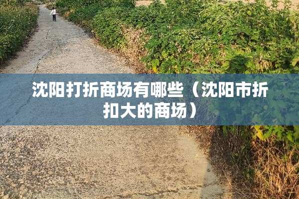 沈阳打折商场有哪些（沈阳市折扣大的商场）