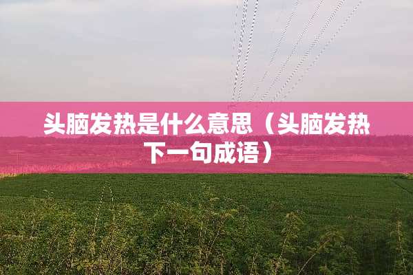 头脑发热是什么意思（头脑发热下一句成语）