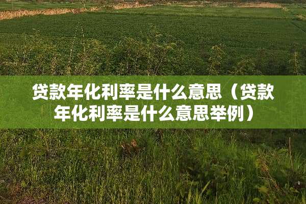 贷款年化利率是什么意思（贷款年化利率是什么意思举例）