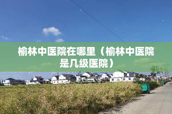榆林中医院在哪里（榆林中医院是几级医院）