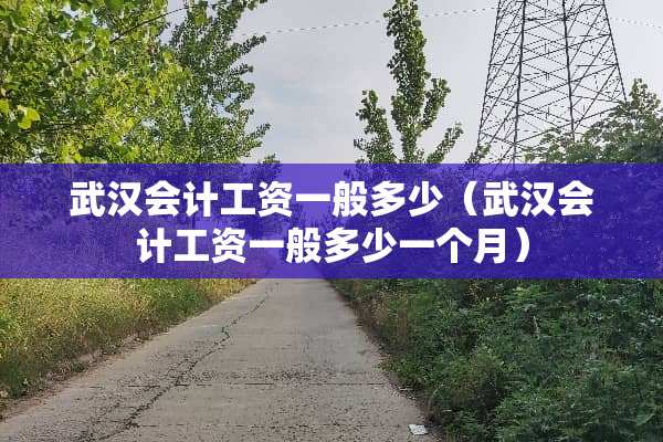 武汉会计工资一般多少（武汉会计工资一般多少一个月）