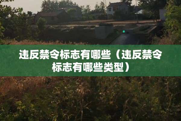违反禁令标志有哪些（违反禁令标志有哪些类型）