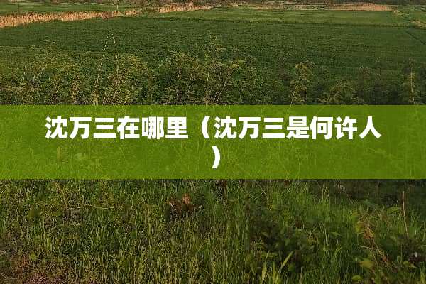 沈万三在哪里（沈万三是何许人）