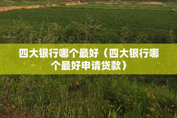 四大银行哪个最好（四大银行哪个最好申请贷款）