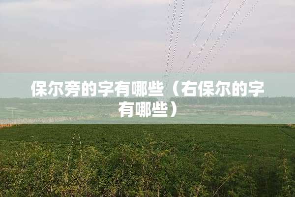 保尔旁的字有哪些（右保尔的字有哪些）