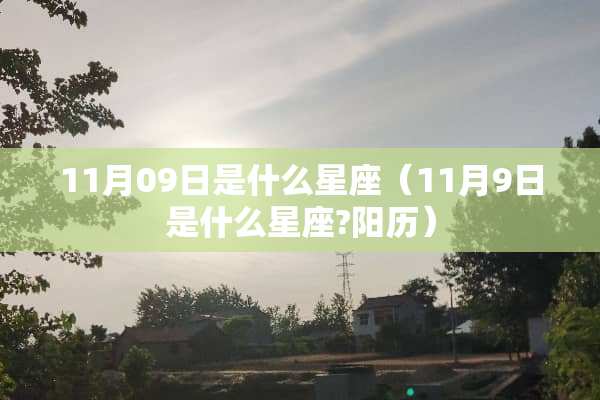 11月09日是什么星座（11月9日是什么星座?阳历）