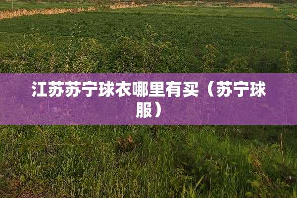 江苏苏宁球衣哪里有买（苏宁球服）