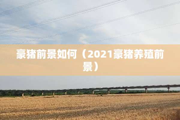 豪猪前景如何（2021豪猪养殖前景）