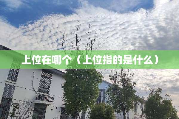 上位在哪个（上位指的是什么）
