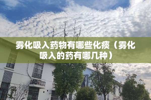 雾化吸入药物有哪些化痰（雾化吸入的药有哪几种）