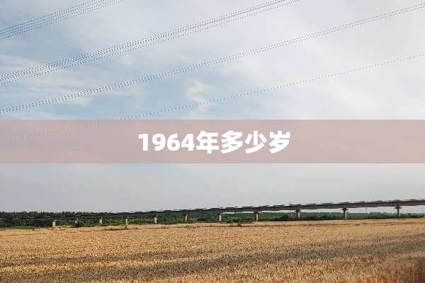 1964年多少岁