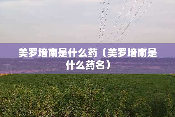 美罗培南是什么药（美罗培南是什么药名）