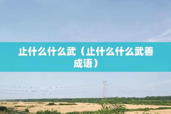 止什么什么武（止什么什么武善成语）
