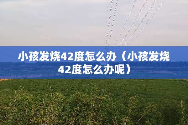 小孩发烧42度怎么办（小孩发烧42度怎么办呢）
