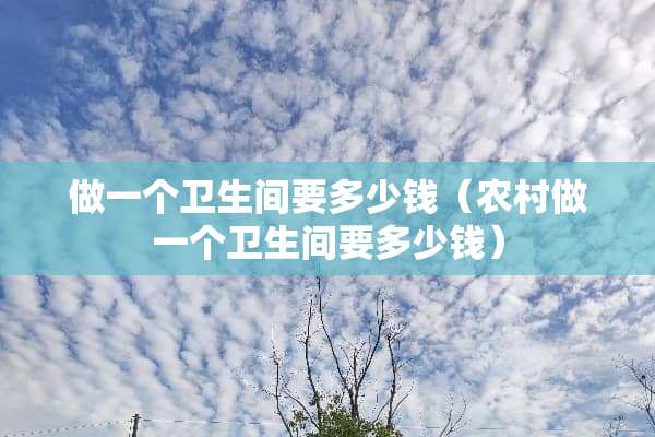 做一个卫生间要多少钱（农村做一个卫生间要多少钱）