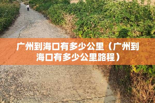 广州到海口有多少公里（广州到海口有多少公里路程）