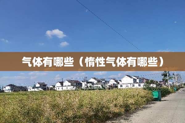 气体有哪些（惰性气体有哪些）