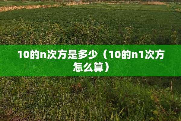 10的n次方是多少（10的n1次方怎么算）