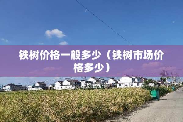 铁树价格一般多少（铁树市场价格多少）
