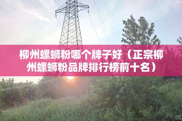 柳州螺蛳粉哪个牌子好（正宗柳州螺蛳粉品牌排行榜前十名）