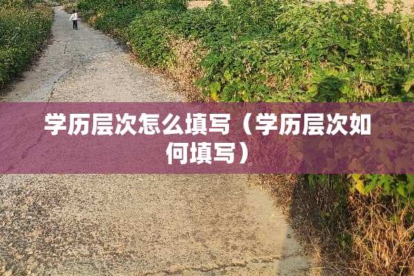 学历层次怎么填写（学历层次如何填写）