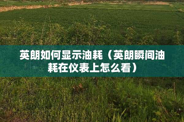 英朗如何显示油耗（英朗瞬间油耗在仪表上怎么看）