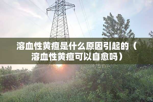 溶血性黄疸是什么原因引起的（溶血性黄疸可以自愈吗）