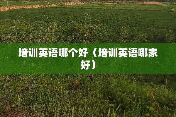 培训英语哪个好（培训英语哪家好）