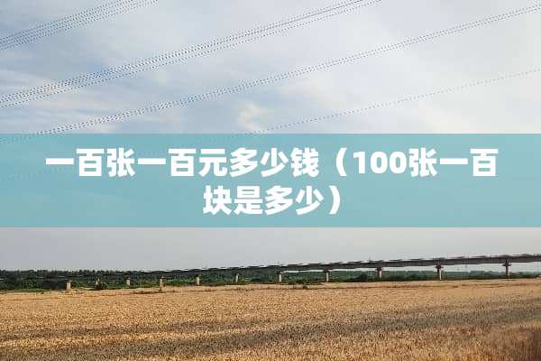 一百张一百元多少钱（100张一百块是多少）
