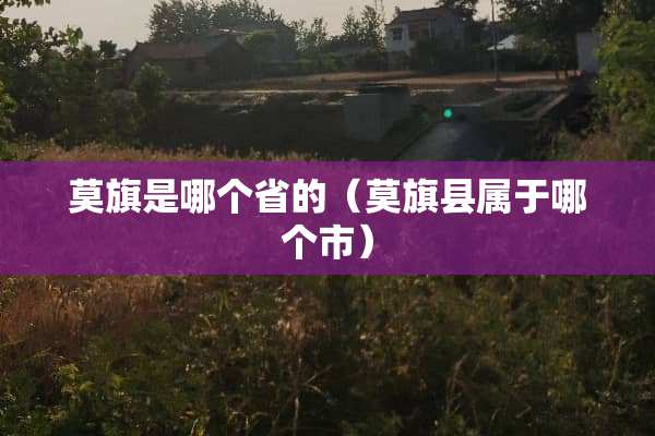 莫旗是哪个省的（莫旗县属于哪个市）