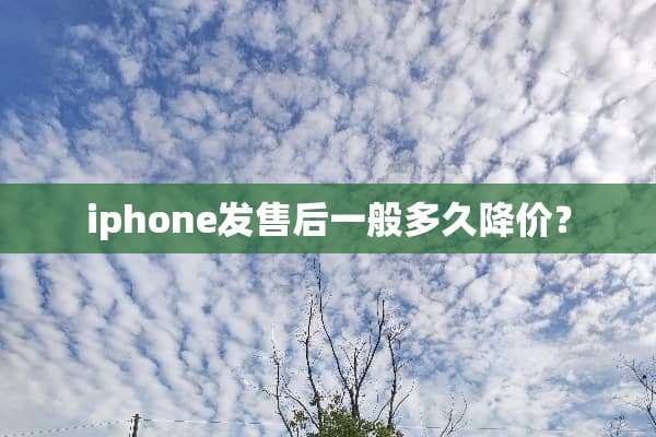 iphone发售后一般多久降价？
