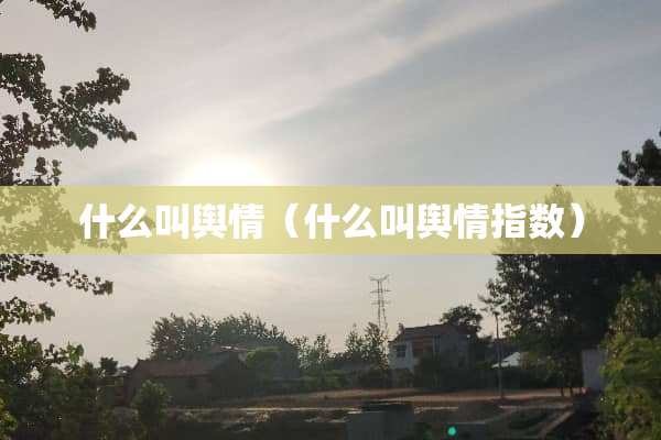 什么叫舆情（什么叫舆情指数）