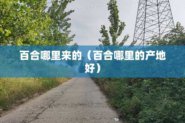 百合哪里来的（百合哪里的产地好）