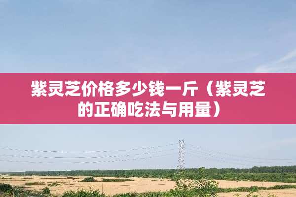 紫灵芝价格多少钱一斤（紫灵芝的正确吃法与用量）