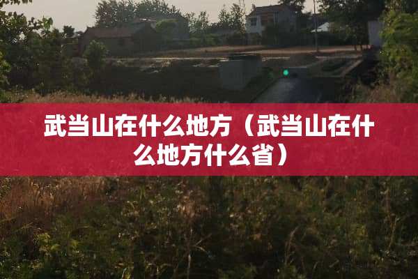 武当山在什么地方（武当山在什么地方什么省）