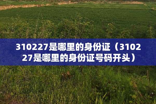 310227是哪里的***（310227是哪里的***号码开头）